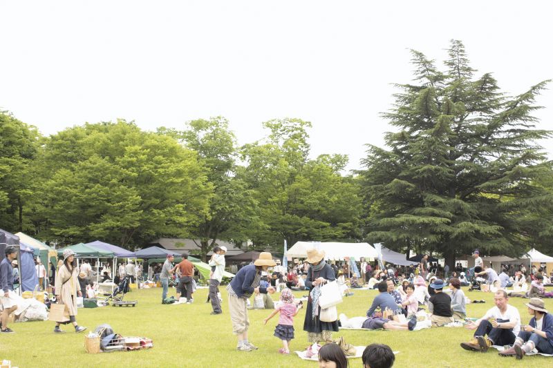 Bãi cỏ tuyệt đẹp thích hợp cho các buổi pic-nic